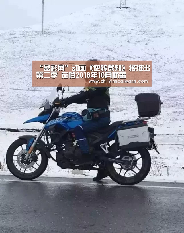 盈彩网