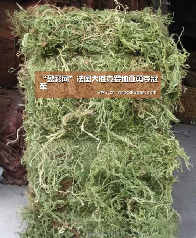 “盈彩网”法国大胜克罗地亚勇夺冠军(图3) 盈彩网