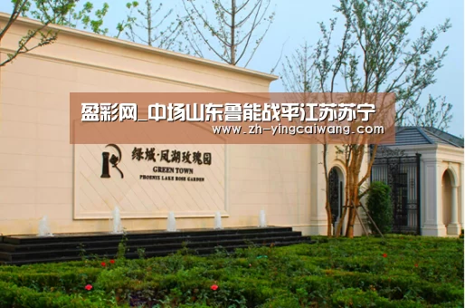 盈彩网