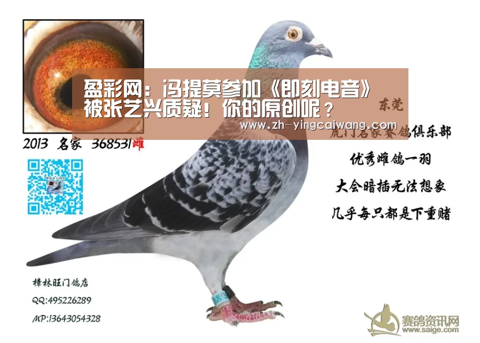 盈彩网:冯提莫参加《即刻电音》被张艺兴质疑!你的原创呢?(图4) 盈彩网