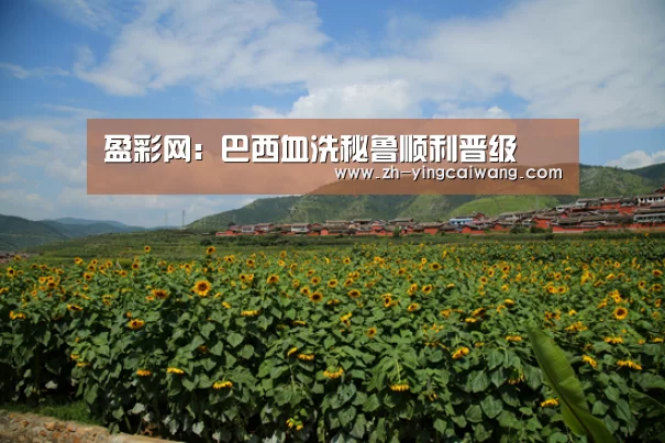盈彩网:巴西血洗秘鲁顺利晋级(图2) 盈彩网