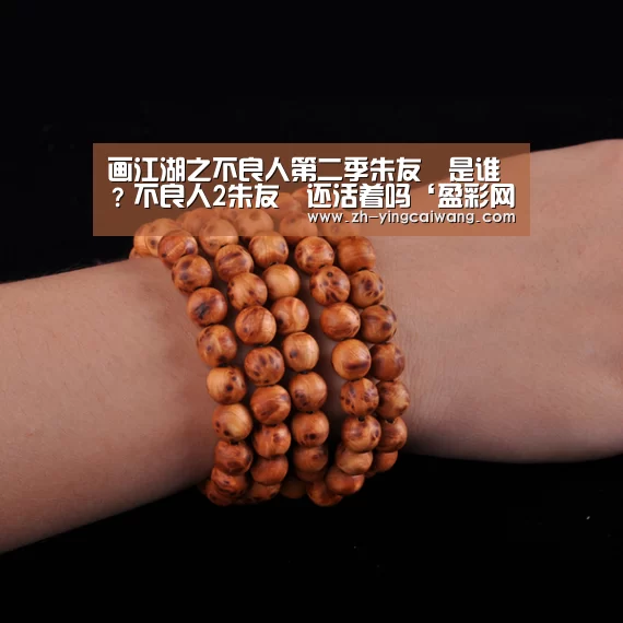 盈彩网