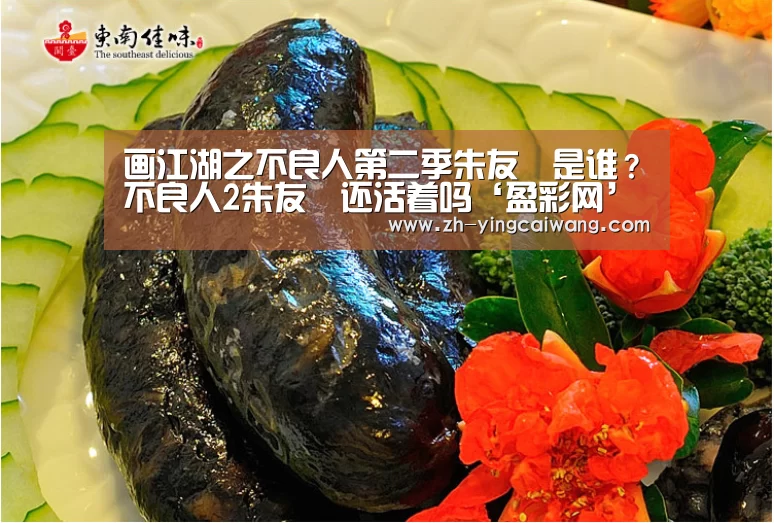 盈彩网