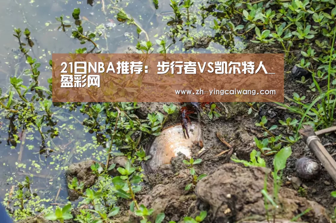 盈彩网